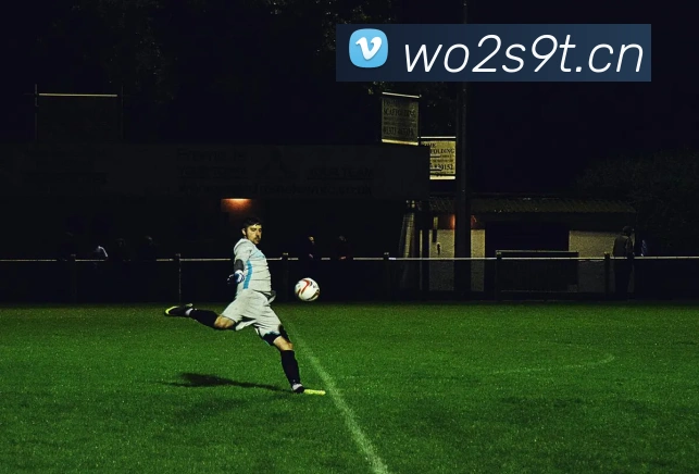 星空电竞官网入口平台生态图