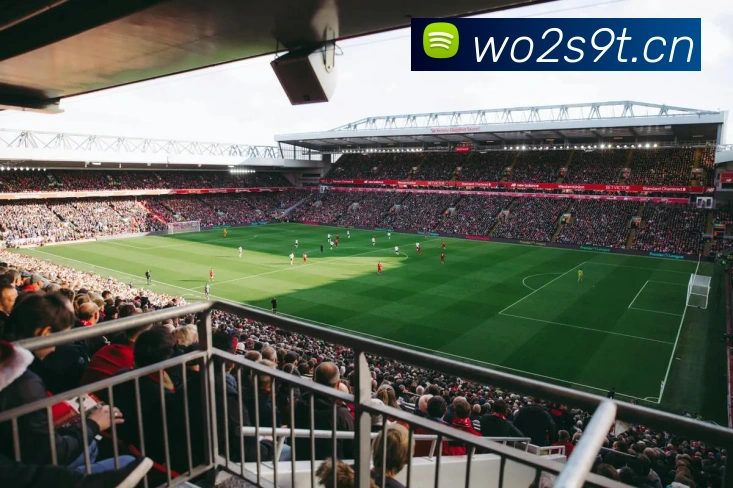 星空电竞官网入口APP 封面图